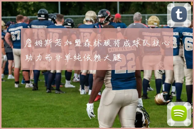 詹姆斯若加盟森林狼将成球队核心助力而非单纯依赖大腿